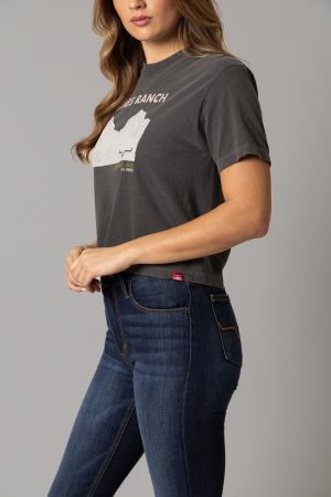 Ladies Scenery Crop Tee